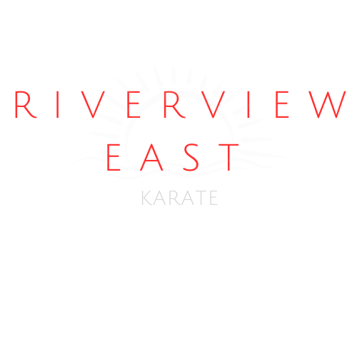 Riverview East Karate photo